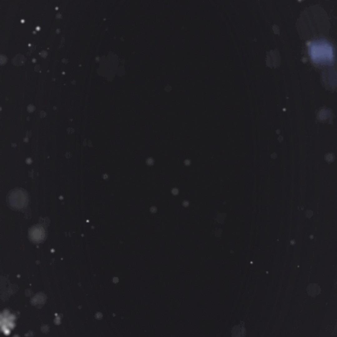 ……