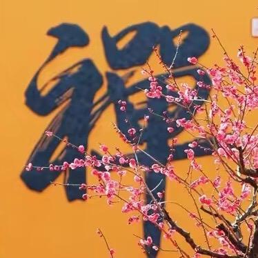 禅语修心🙏