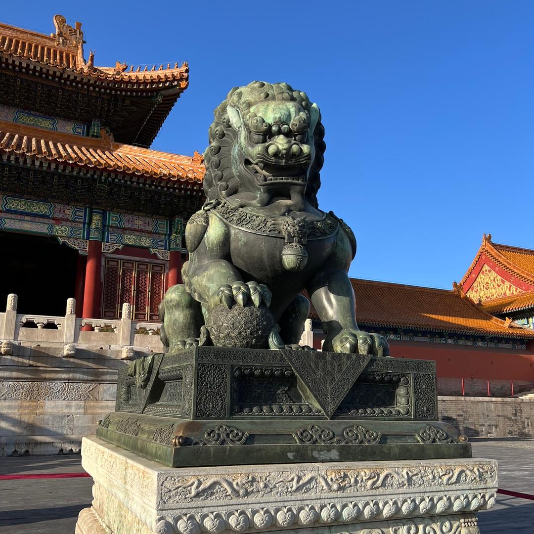 铁牛（专播蛇吃猪）