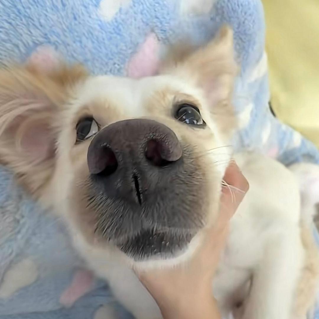 小忆.