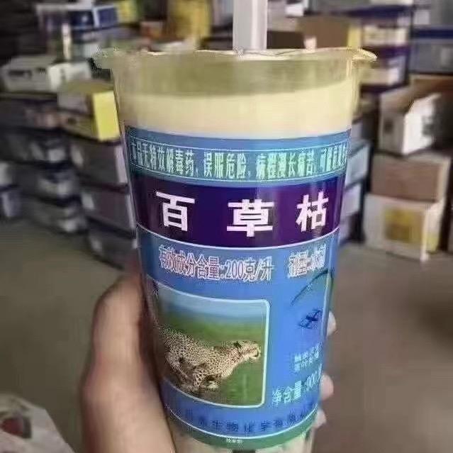 爱意随风起