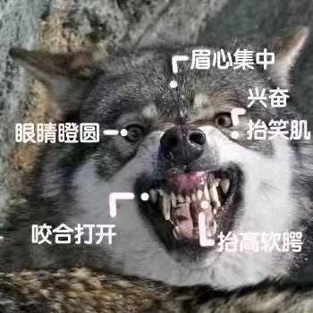 清风徐来。。