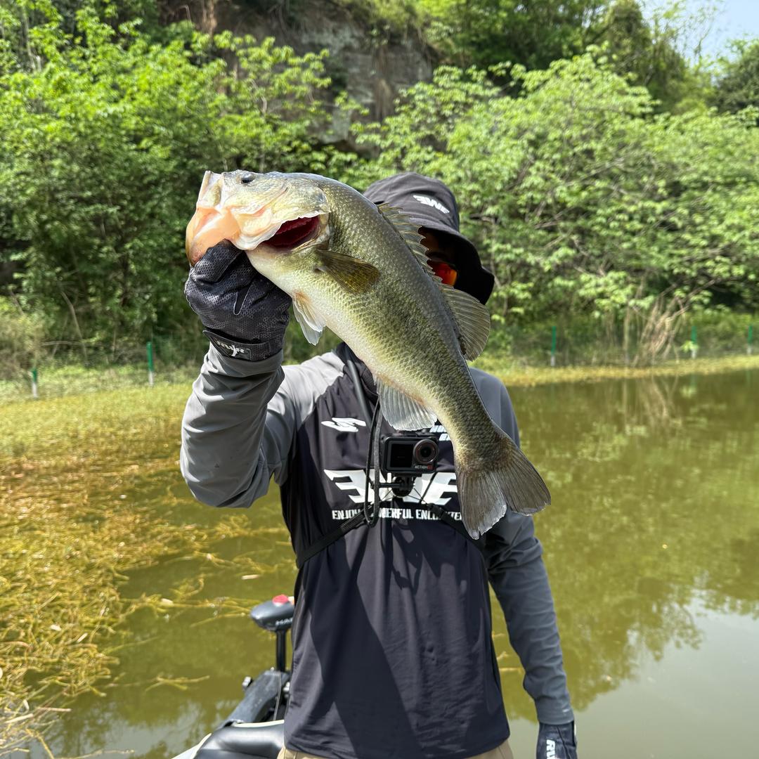激速签约钓手🎣