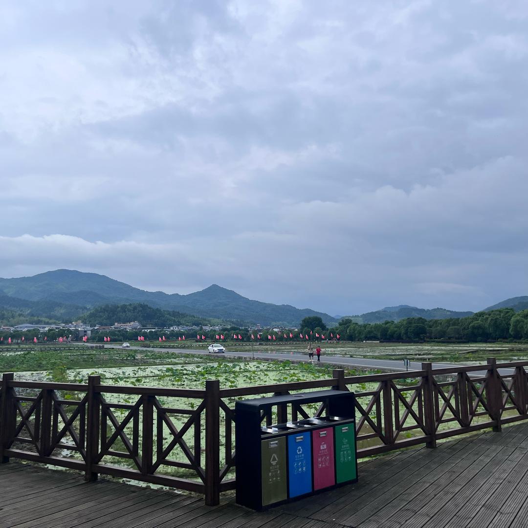 龙辰汽贸销售顾问小艾