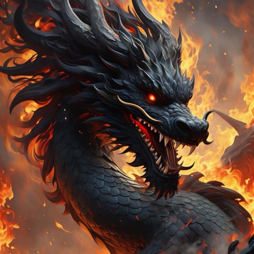 龙龙