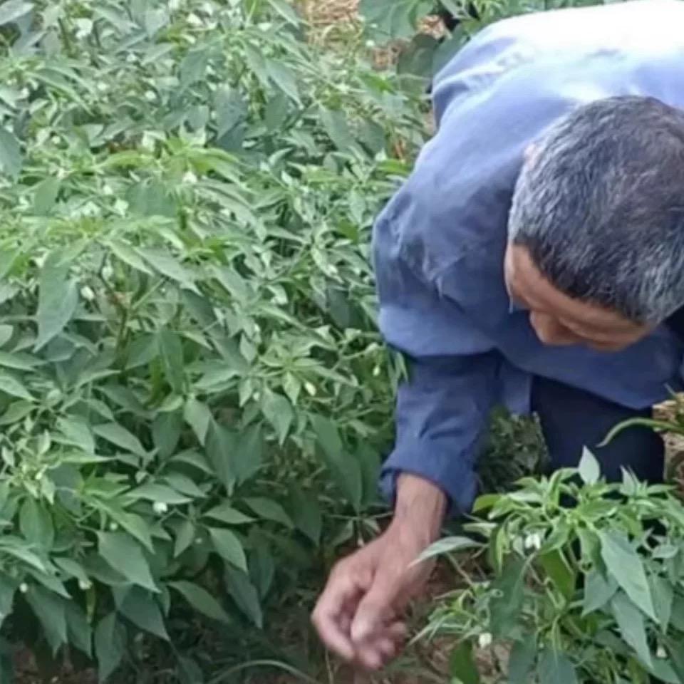 摩托哥农产品小号