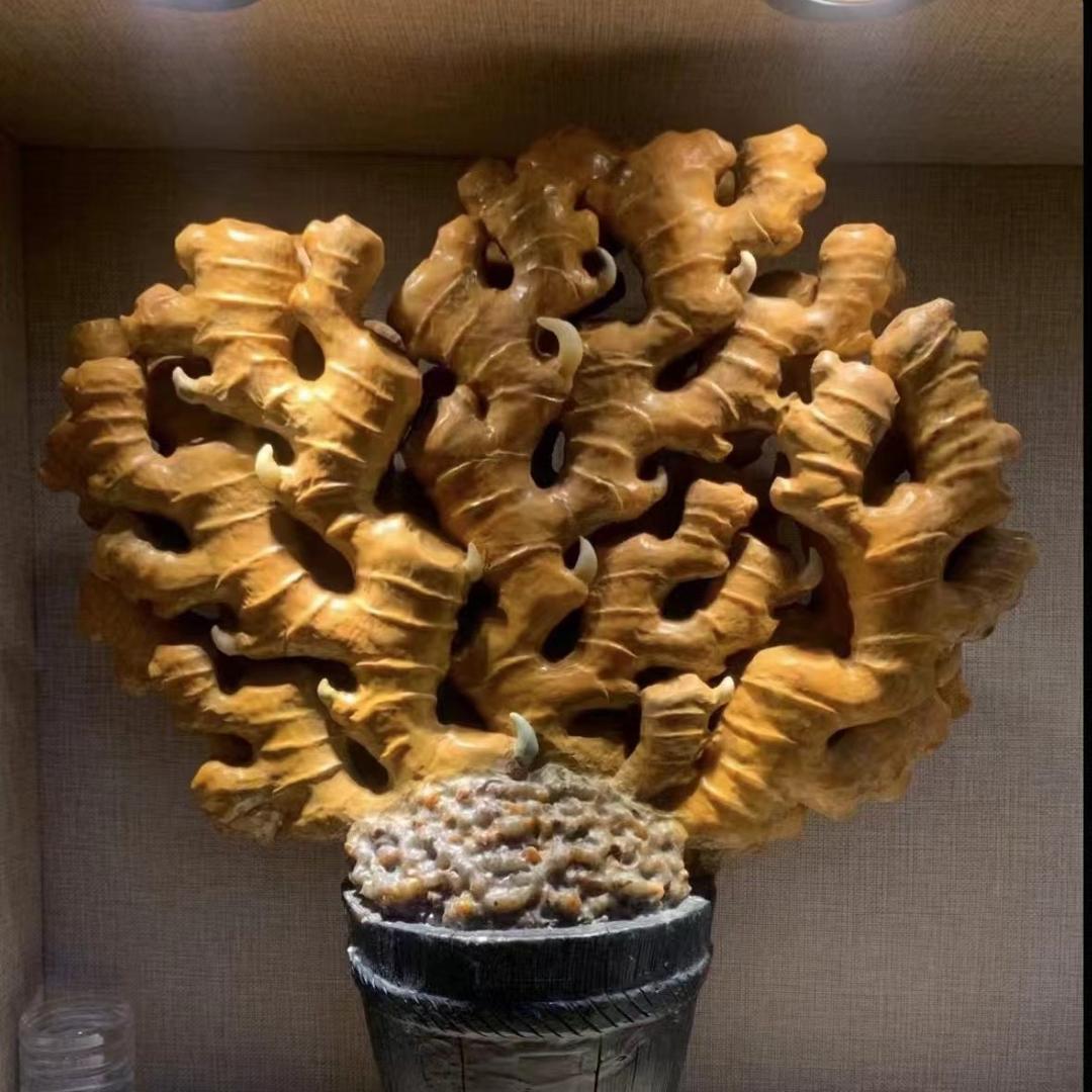 云南墨姜科技产业