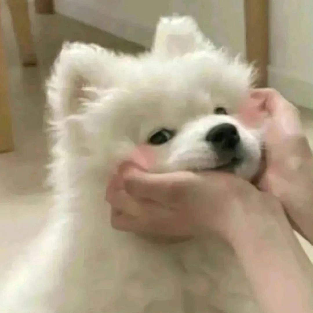 天琳