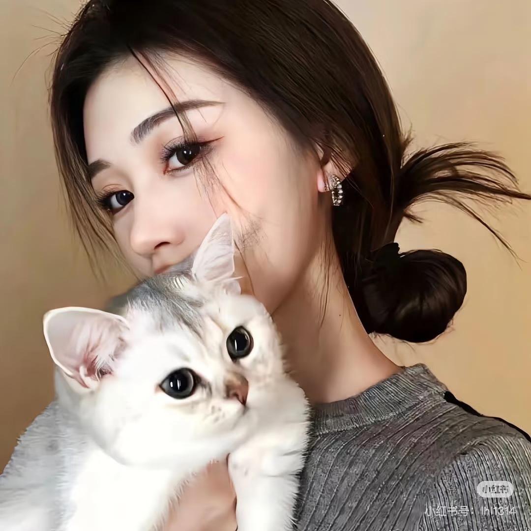 猫猫🐱