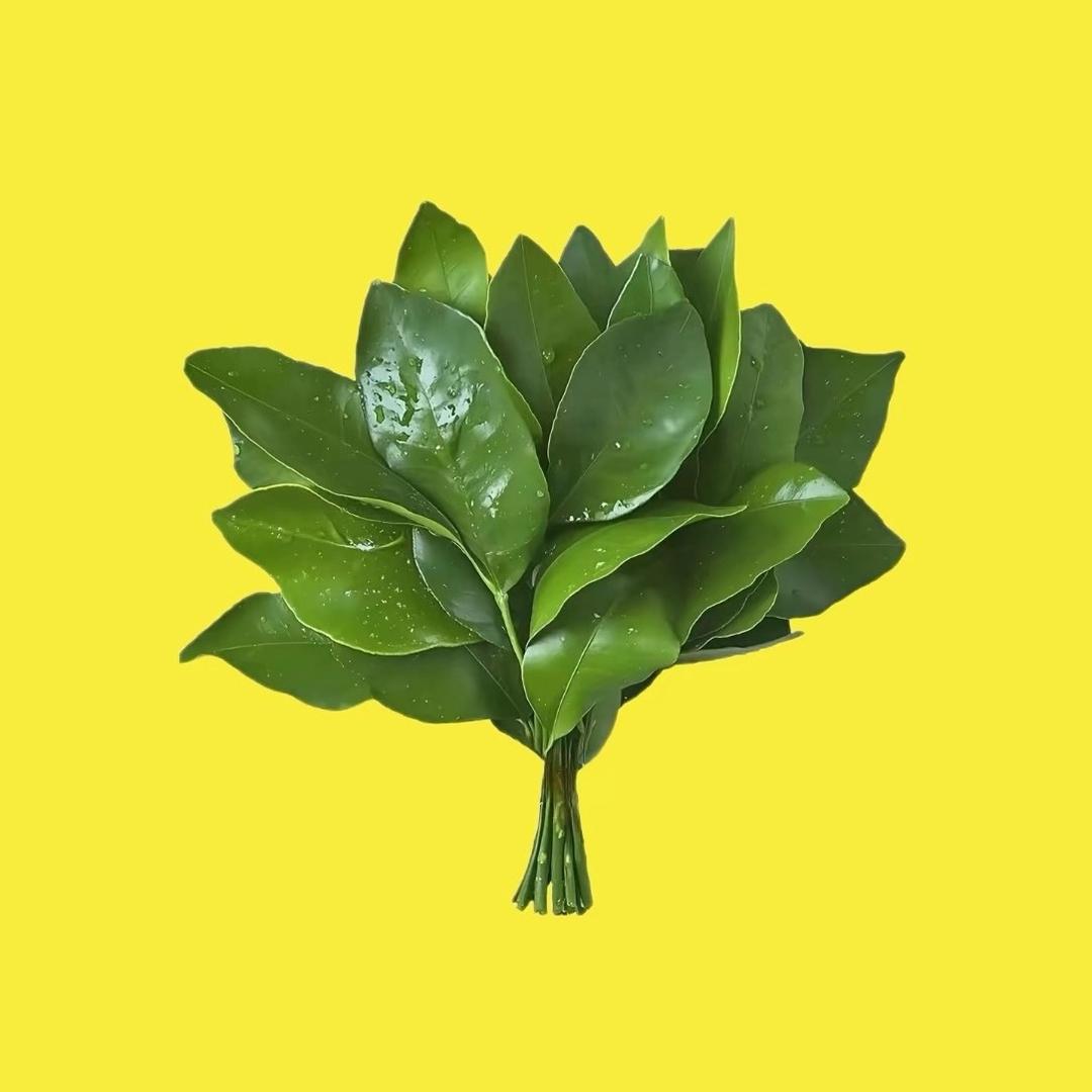 @.兜李有钱 ❤️