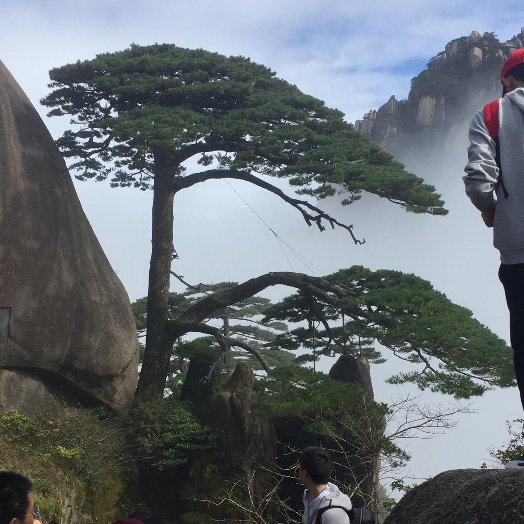 悦诗美妆严选好物