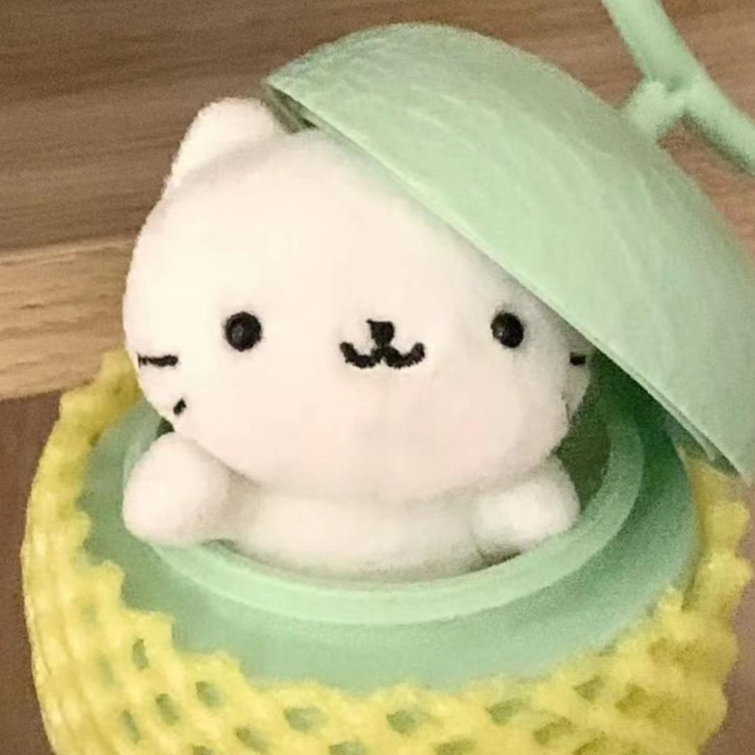 小盐子
