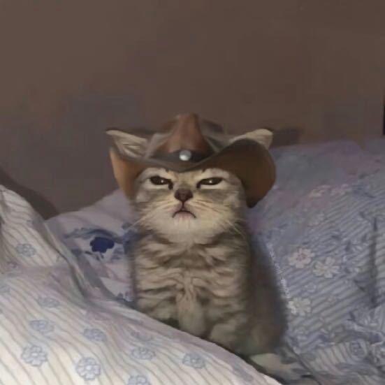 犯困熙红柿ᶻ