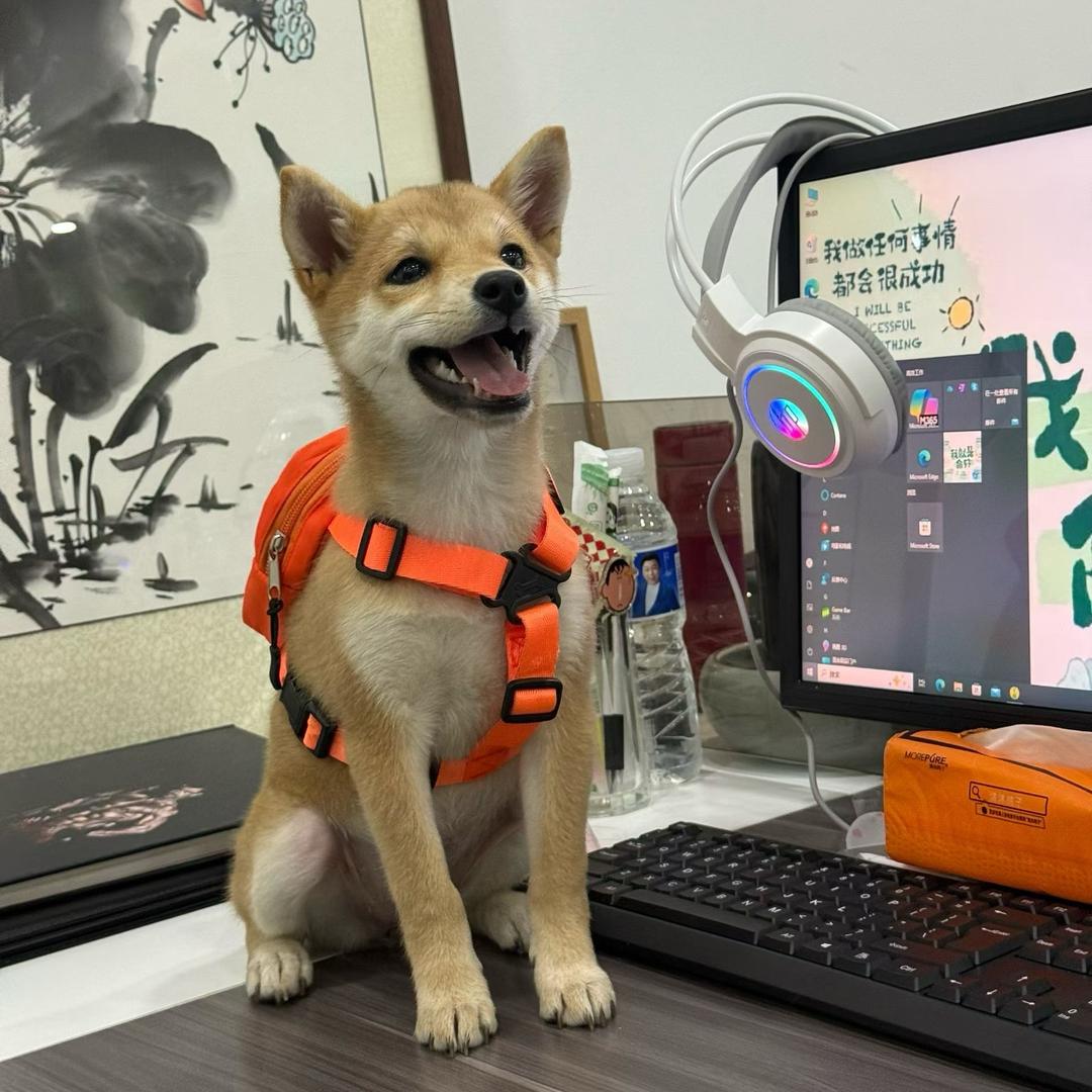 旺财来福一家亲