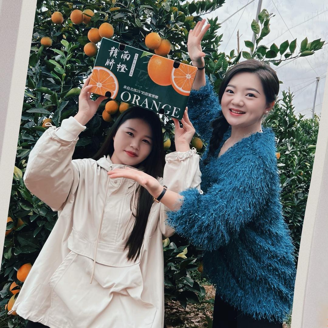 正宗赣南脐橙直发
