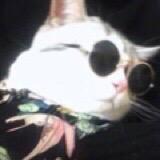 小刺猬🦔