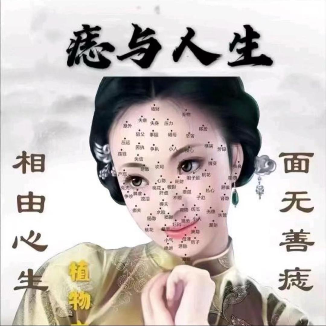 志工厂🏭陈侠老师收徒弟