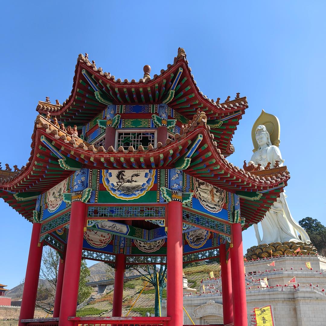 真罟老师