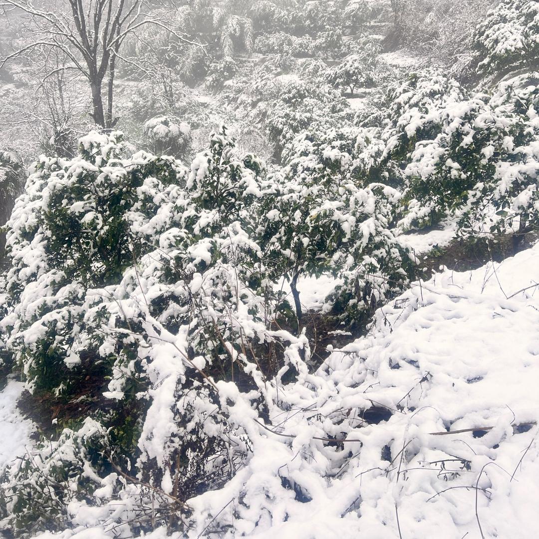 麻阳衣柜定制加工厂