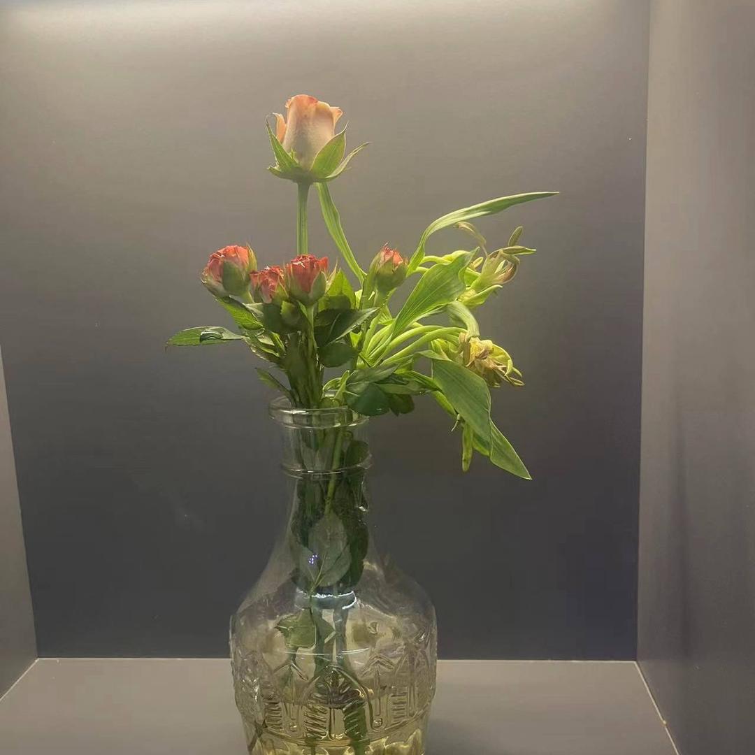 是白白🌻（带娃版）