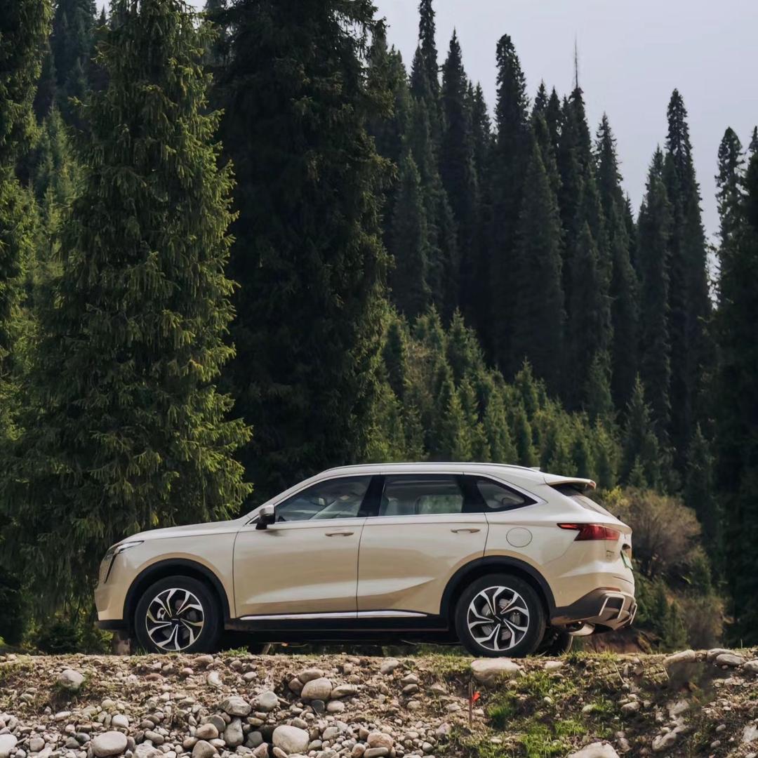 HAVAl.CLUB