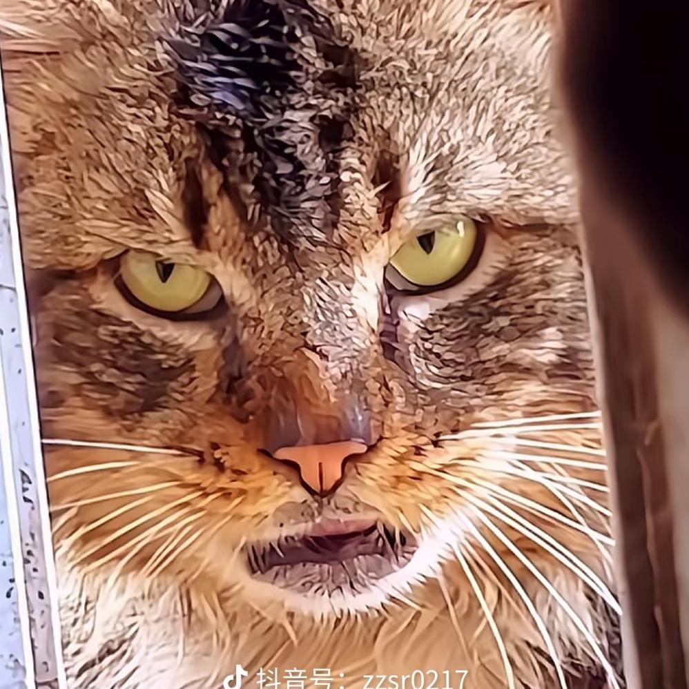 建新万亩基地虾苗-小杰