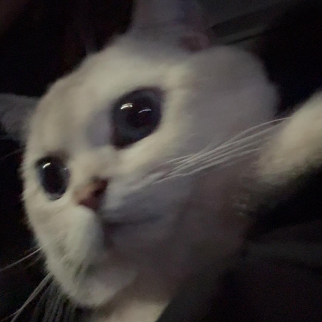 王慧楠（减肥中）