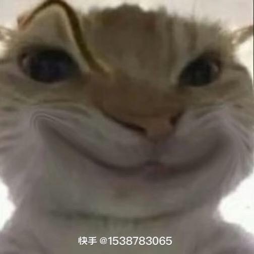 鱼泡爱玩太空鲨