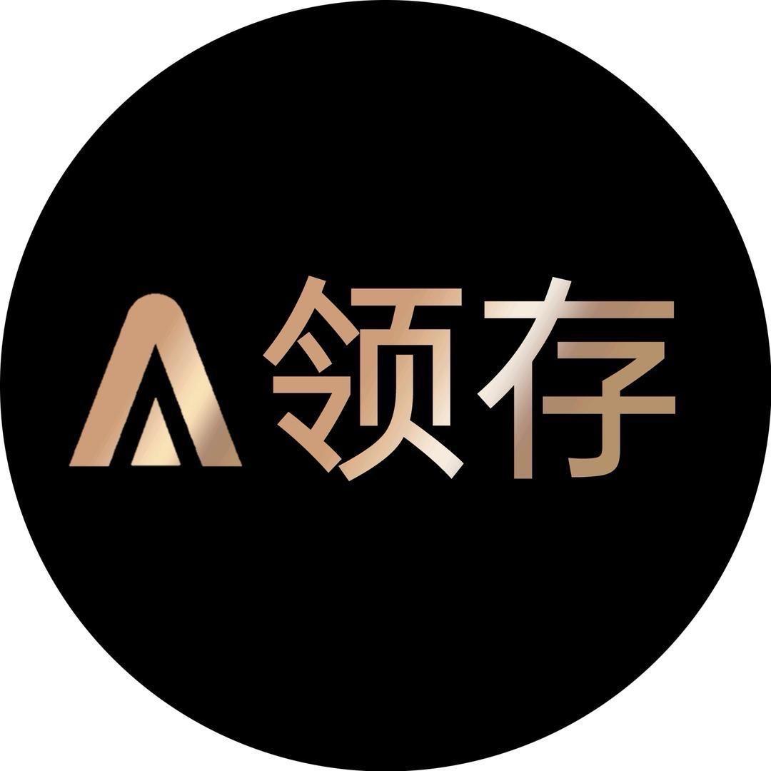 领存集成电路存储影像