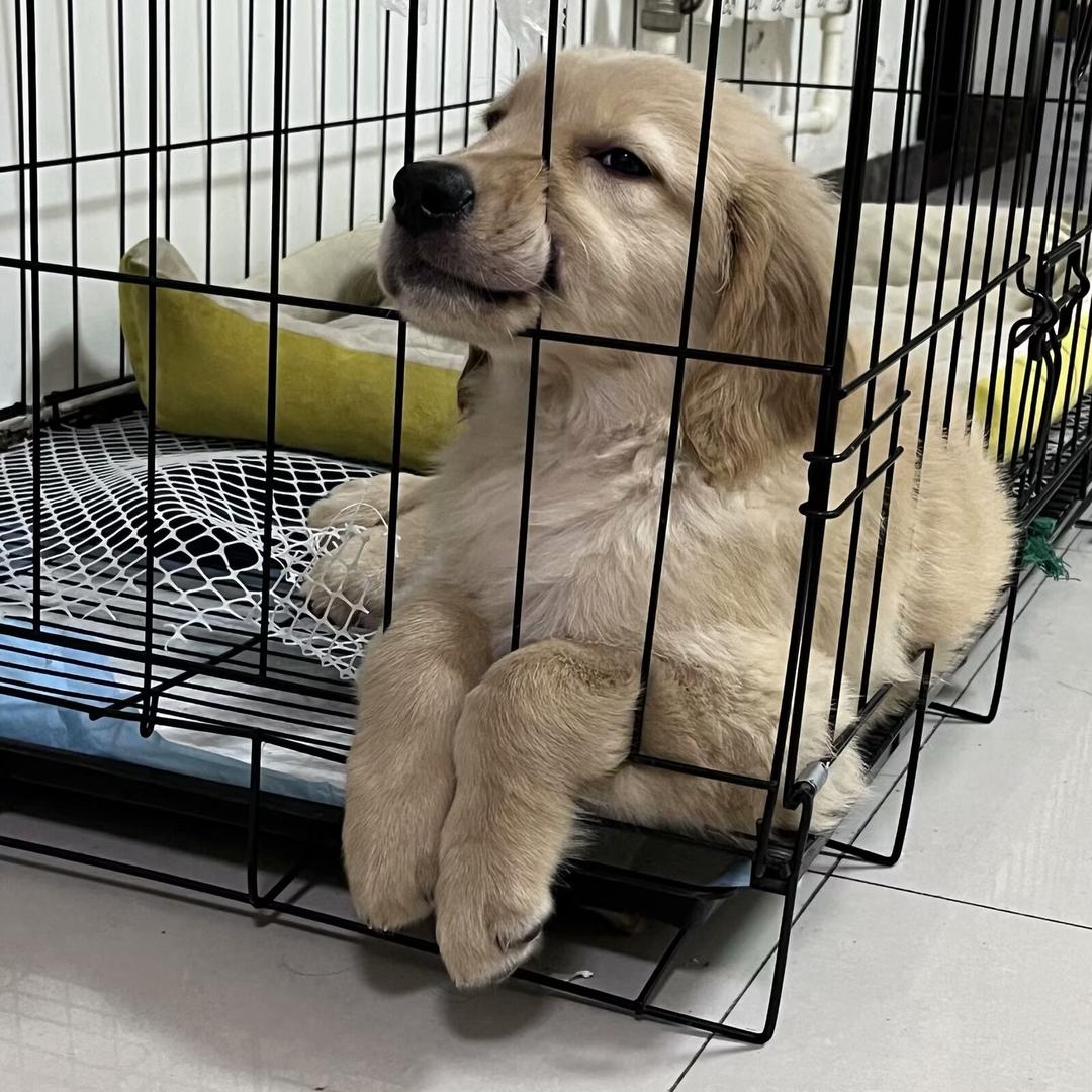 晚安个头