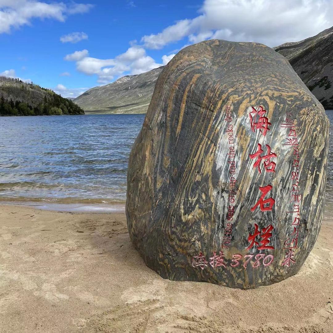 你的“徐姑姑”