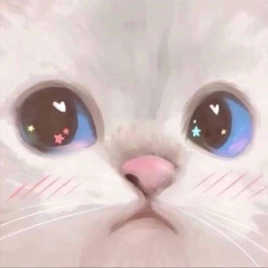 众星之子💛