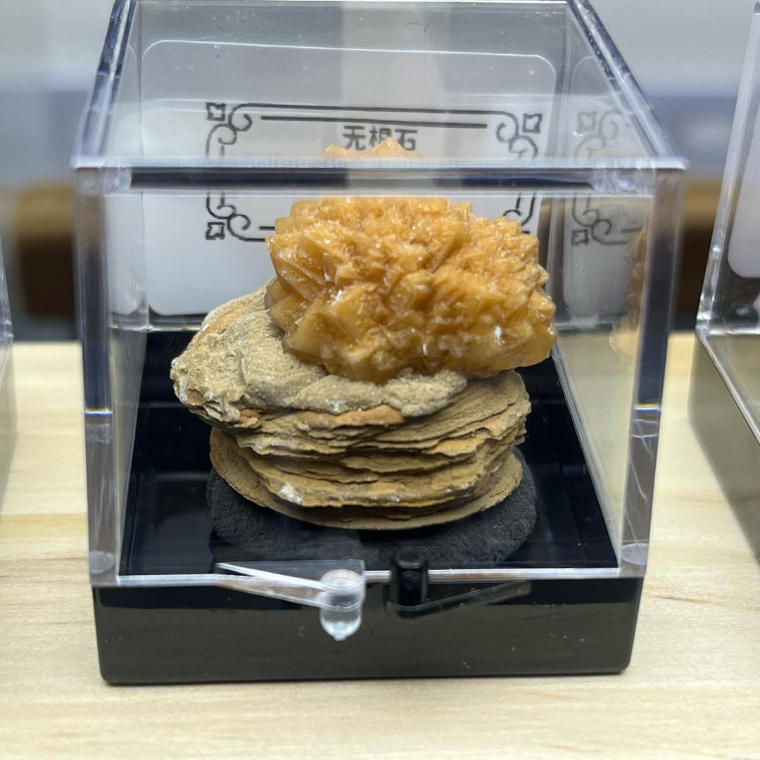 利伦商铺