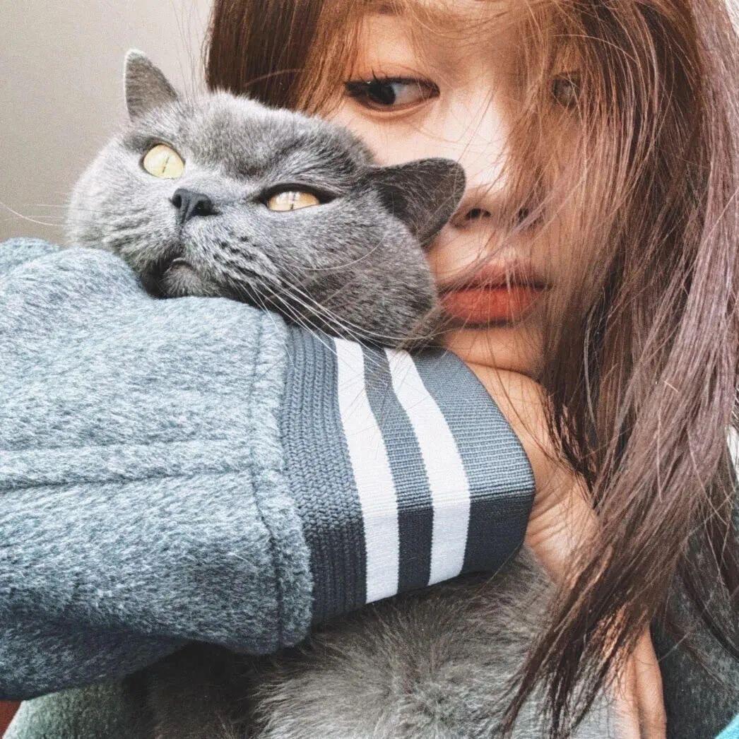 泡芙小姐