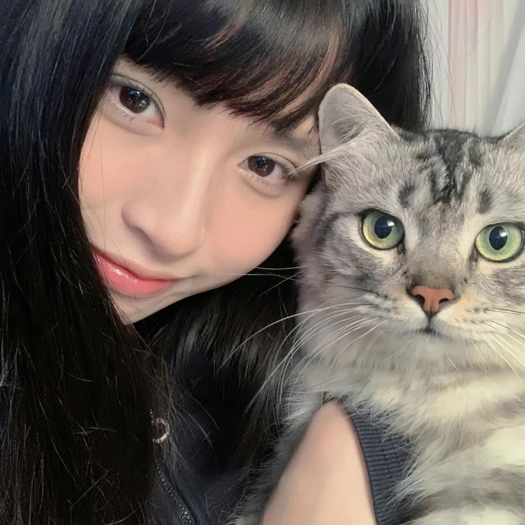贴贴小糖