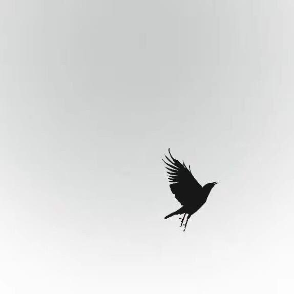 L.Y.P