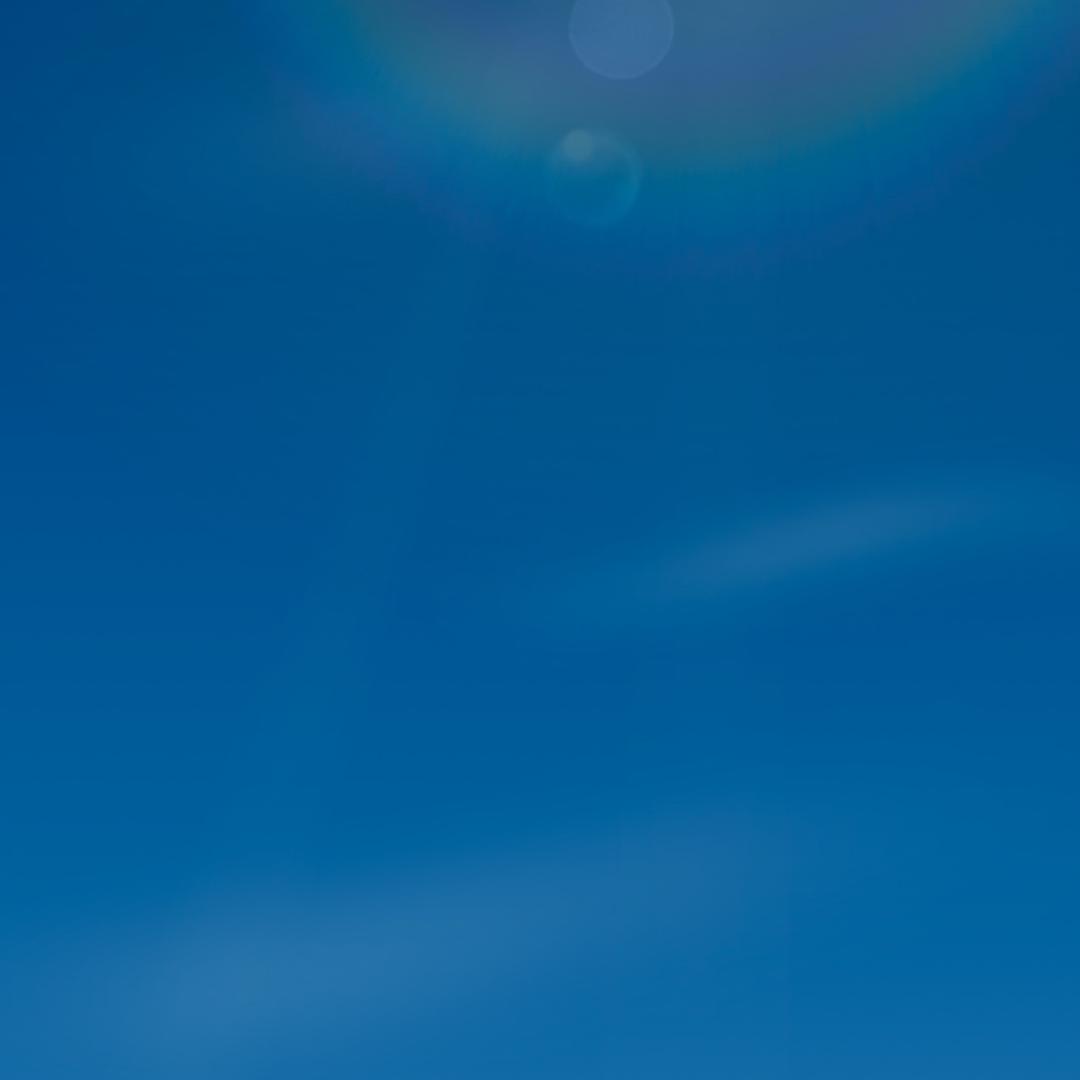 高姐在东北