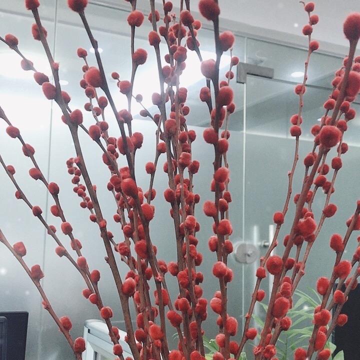 阿杰好物分享