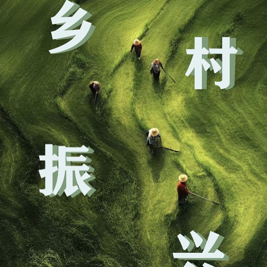 万宁东兴供销社优选市集