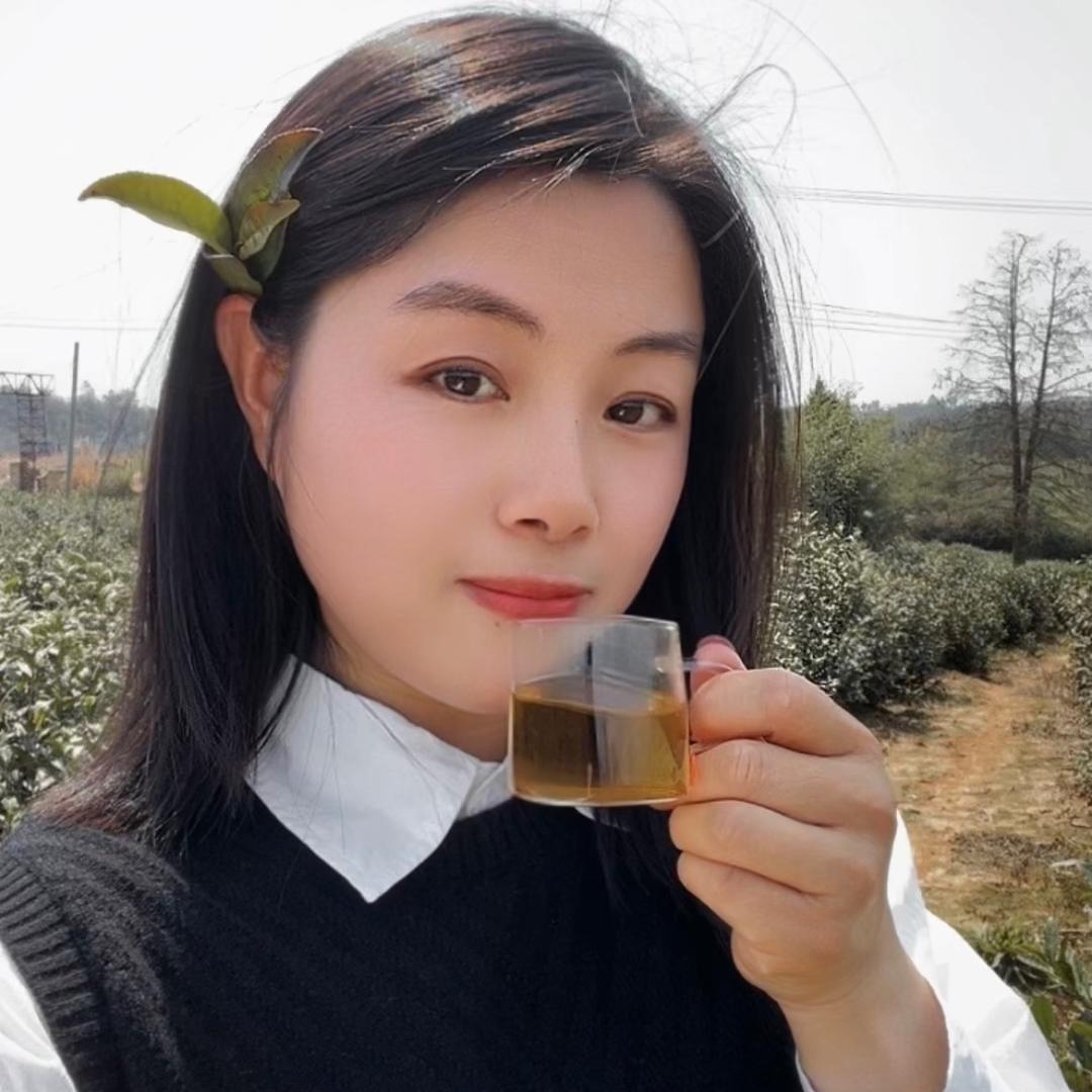 黄山小月（茶叶 菊花）