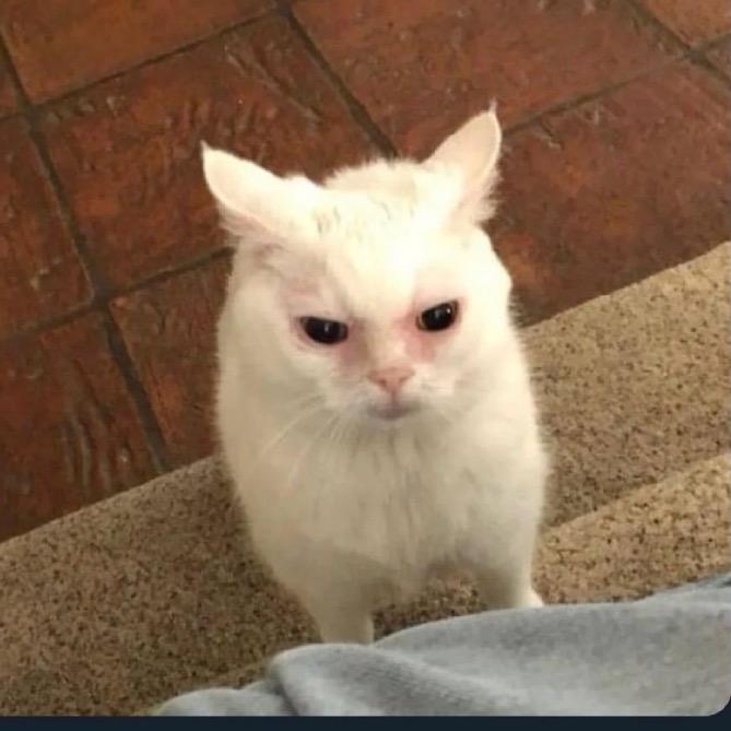 小闹少
