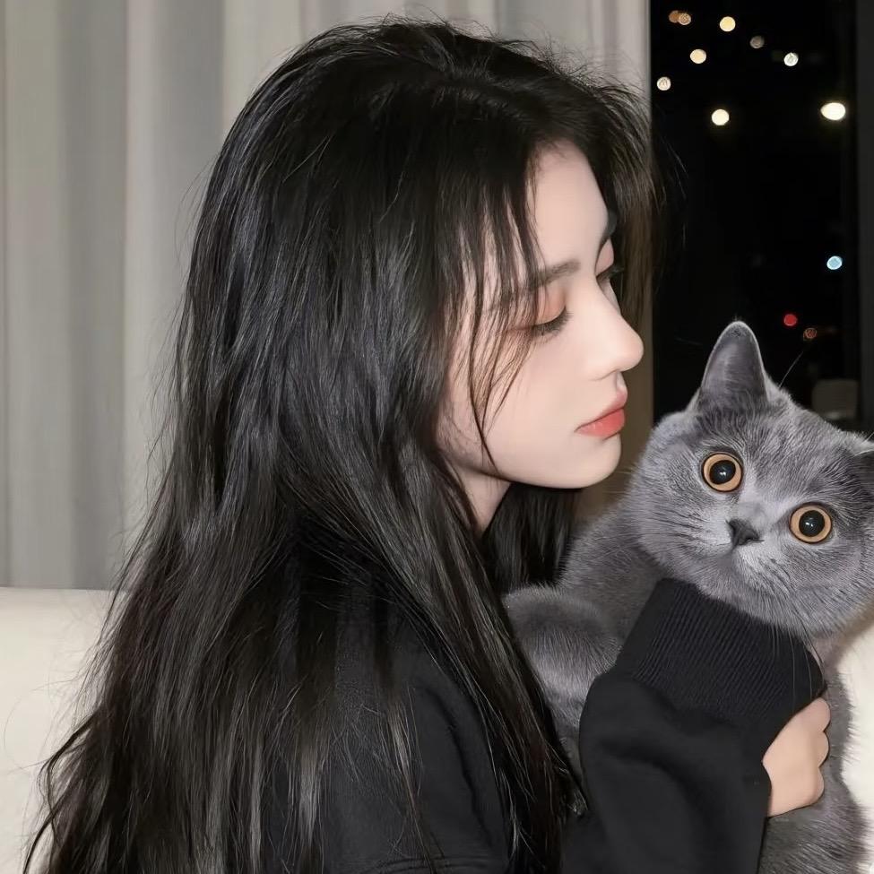 坏猪猪