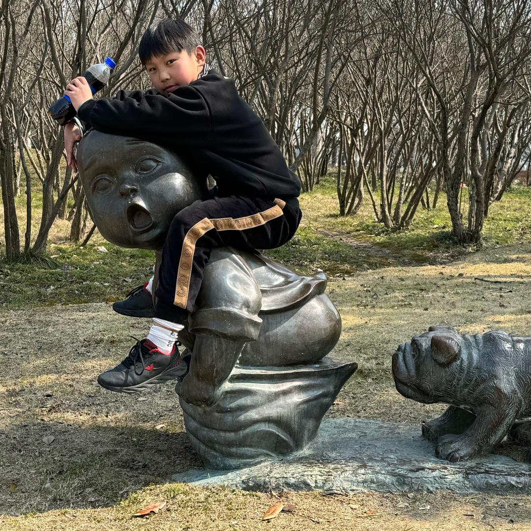 面向朝阳