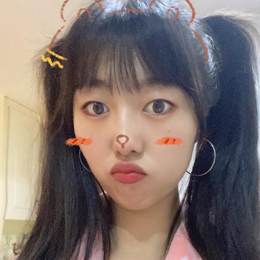 吃猕猴桃🥝的长颈鹿