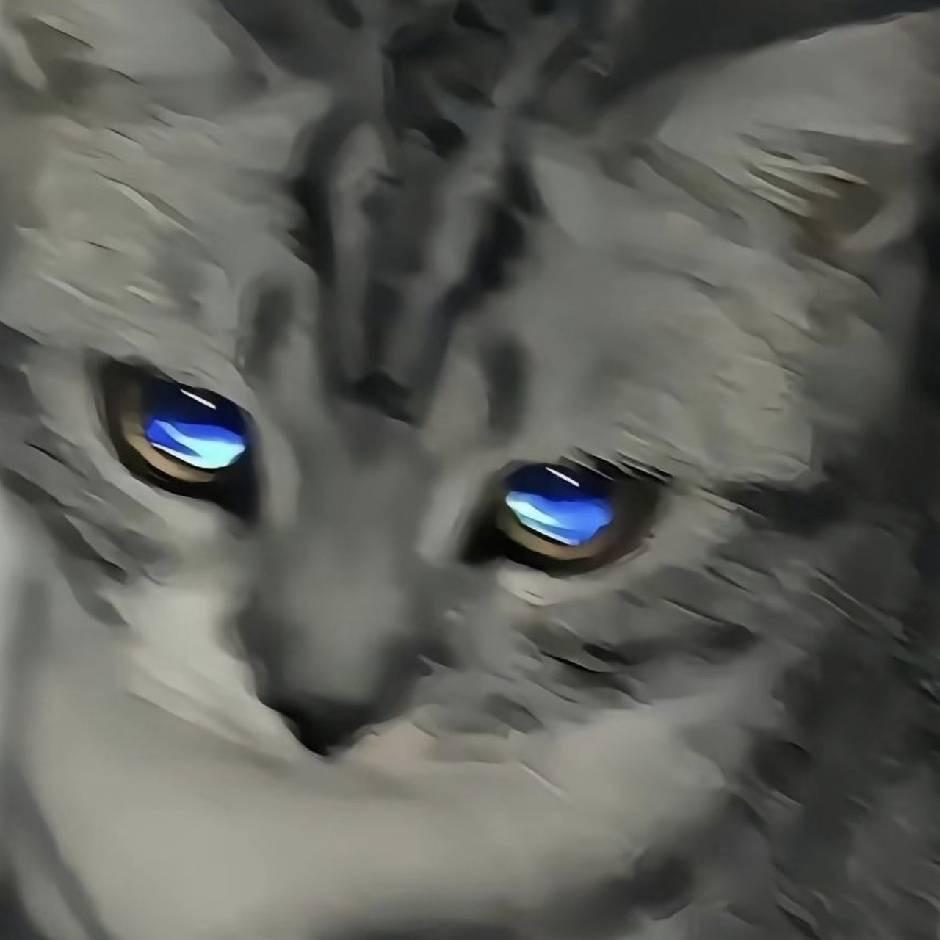 余姜欣