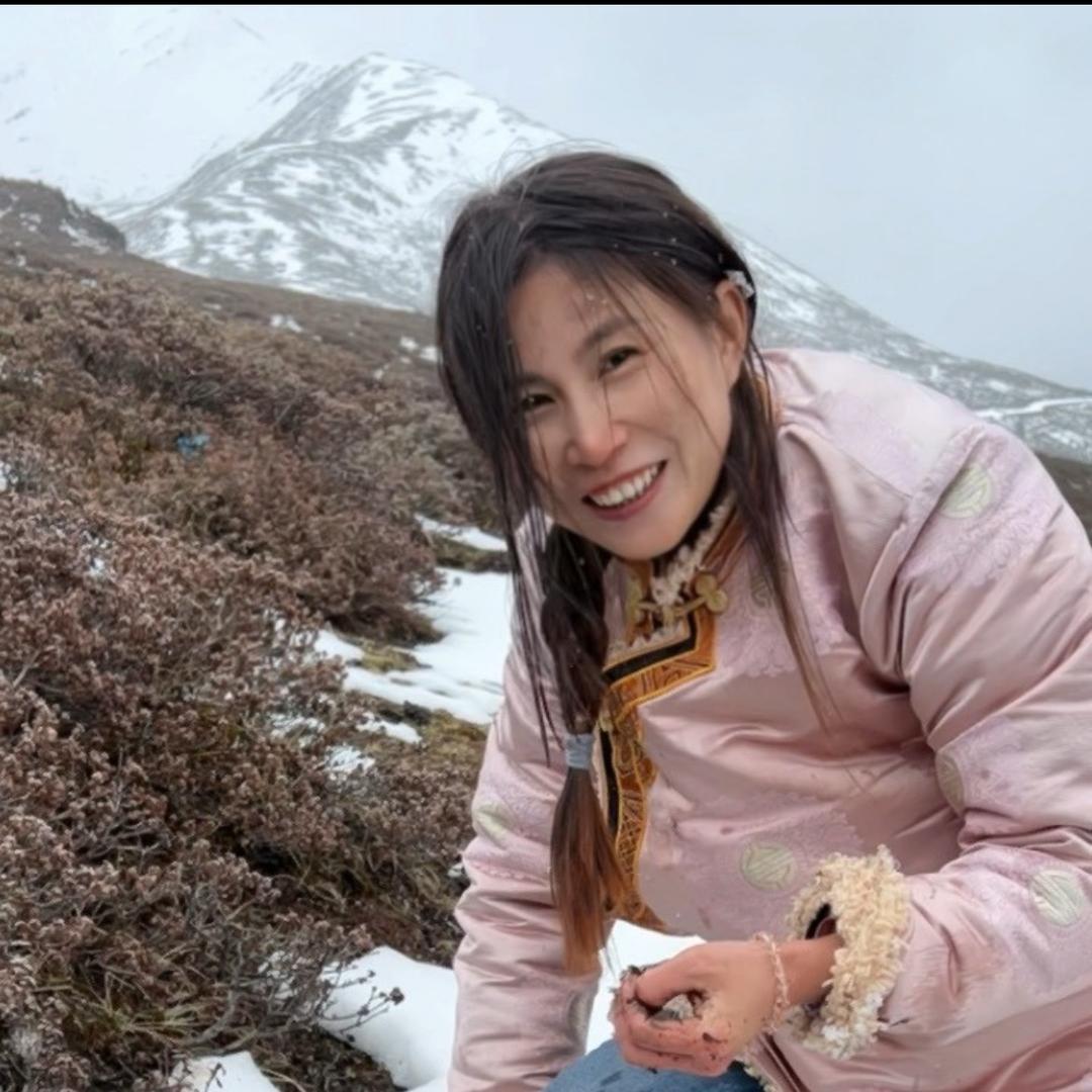 大山里的央宗（挖药人）
