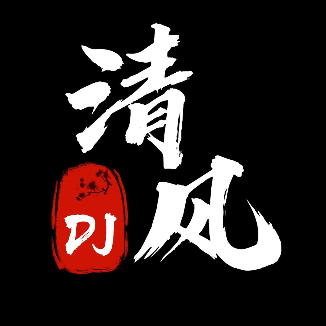 清风DJ（车载U盘）