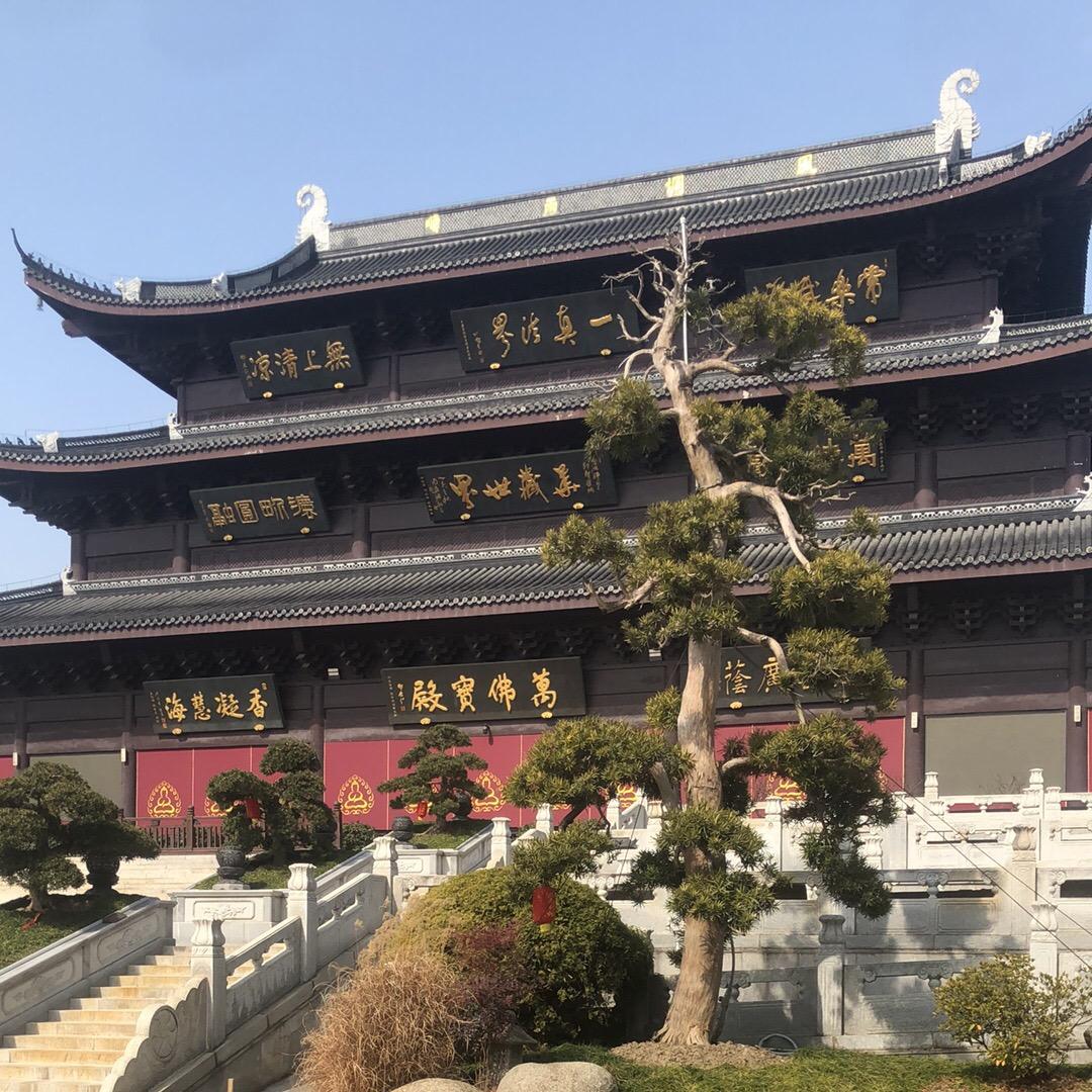 春天来了