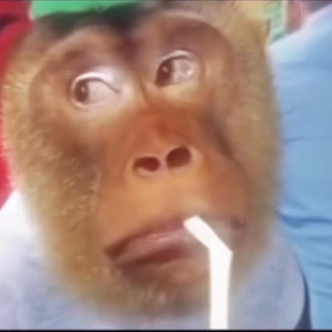 一杯白开水、