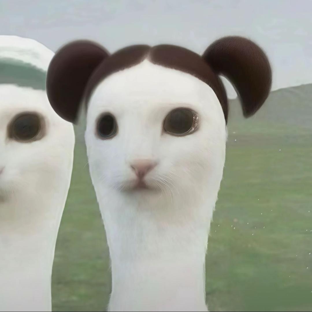 小什么婧
